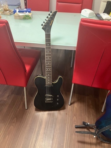 フェルナンデスギター