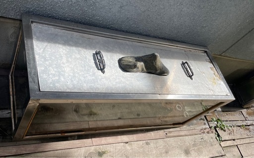 水槽　大型　ガラス　ステンレス　ペット飼育　クワガタ　カブトムシ