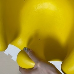 バンボの画像