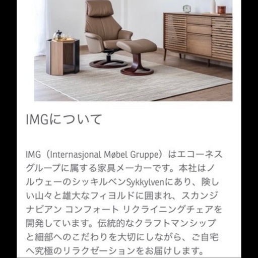 IMG　エコーネス　リクライニングチェア