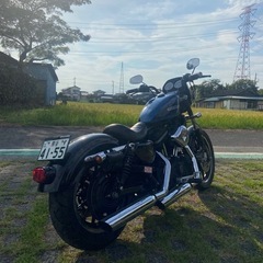 Harley-Davidson XL883R スポーツスター　車検有り 乗って帰れますの画像