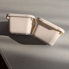 本日引取限定の画像
