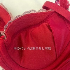 トリンプ 新品 ブラジャーの画像