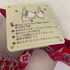 トリンプ 新品 ブラジャーの画像