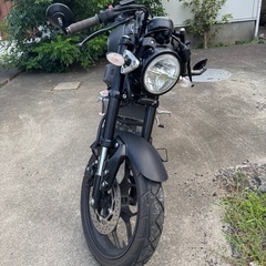 ヤマハ YAMAHA XSR155 の画像