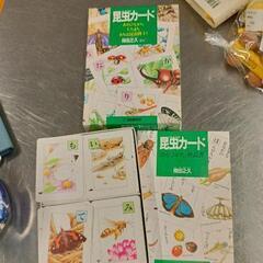 0818-152 昆虫カードセットの画像