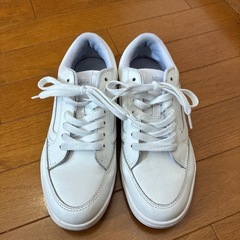 vans スニーカー　24.0センチ
の画像