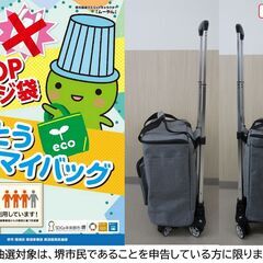 【堺市民限定】(2508-28) 保冷バッグ付きキャリーカートの画像