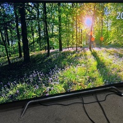 TOSHIBA東芝 REGZA 『Z20X 50Z20X』の画像