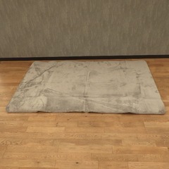 【引取日8/22(金)限定、条件あり】≪サマーセール！≫≪引取り限定≫カーペット 18173円 80001253の画像