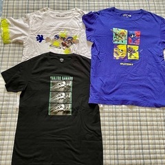 160センチ子供服の画像