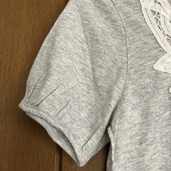 ［earth］グレーTシャツＳの画像