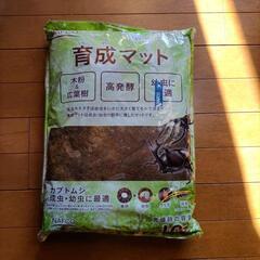 飼育ケースその他セットで！の画像