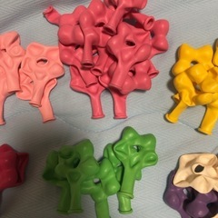 クオラテックス　ジオブロッサム
の画像