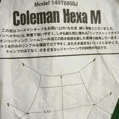 0818-275 コールマンタープの画像
