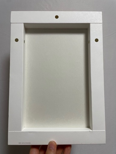 なにわ男子大西流星 なにわのにわフォトキャンバス