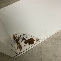 本棚の画像