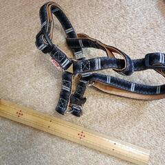 犬用セットの画像
