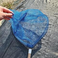 魚網‼️ タモ‼️の画像