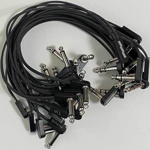 EBS  ICY-30( インサーションケーブル ) 9本