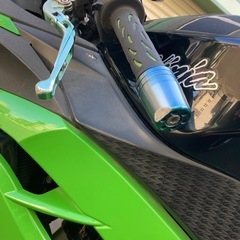 kawasaki Ninja 250ccの画像