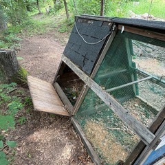鶏小屋の画像