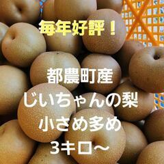 毎年好評！都農町産　梨　小さめ多めM～S　約３キロ1300円～　の画像