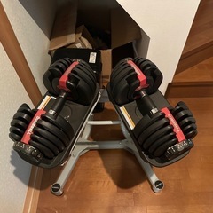 ダイエット　筋トレ　可変式ダンベル　2.5kg〜24kg　ダンベル台付きの画像