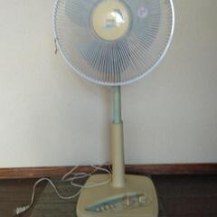 商談済みです　扇風機