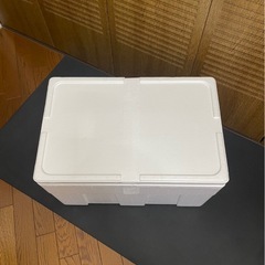 大きめ　発泡スチロール　の画像