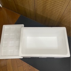 大きめ　発泡スチロール　の画像
