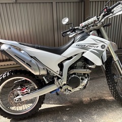 WR250Rの画像