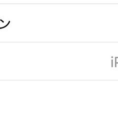 Apple iPhone 15 Pro シルバー 256GB 本体の画像