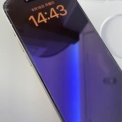 Apple iPhone 15 Pro シルバー 256GB 本体の画像
