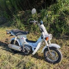 ホンダ　シャリー　50ccの画像
