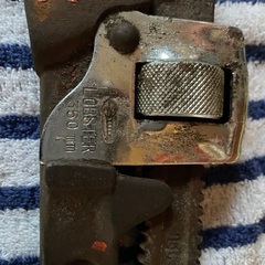 ロブスター350ミリ大の画像