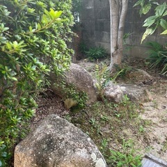 景石の画像