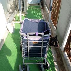 シニアカートの画像