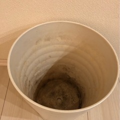 植木鉢　鉢　園芸　ガーデニング　観葉植物の画像