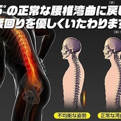 正規セノビープラス　健康ストレッチの画像