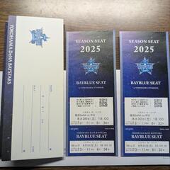 横浜DeNAベイスターズ対中日ドラゴンズ 横浜スタジアム内野席S...