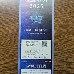 横浜DeNAベイスターズ対中日ドラゴンズ 横浜スタジアム内野席SSシート2枚セットの画像