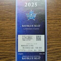 横浜DeNAベイスターズ対中日ドラゴンズ 横浜スタジアム内野席SSシート2枚セットの画像