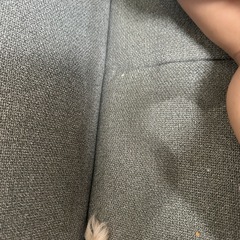 ソファの画像