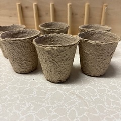 紙製の種まきポット6個の画像