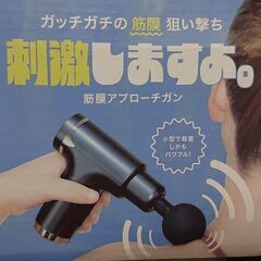 筋膜アプローチガン　ドン・キホーテの画像