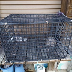 鳥、小動物　飼育用カゴ　２個セットの画像