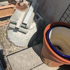 プランターや植木鉢の画像