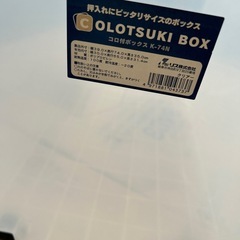 押入れ収納ボックスの画像
