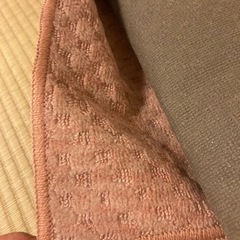 ホットカーペットカバーの画像